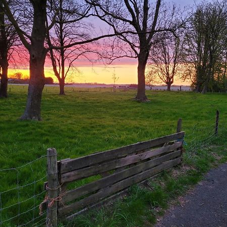 Vakantiehuis Aan Het Bos - Gelegen Aan De Tulpenroute Bant Zewnętrze zdjęcie