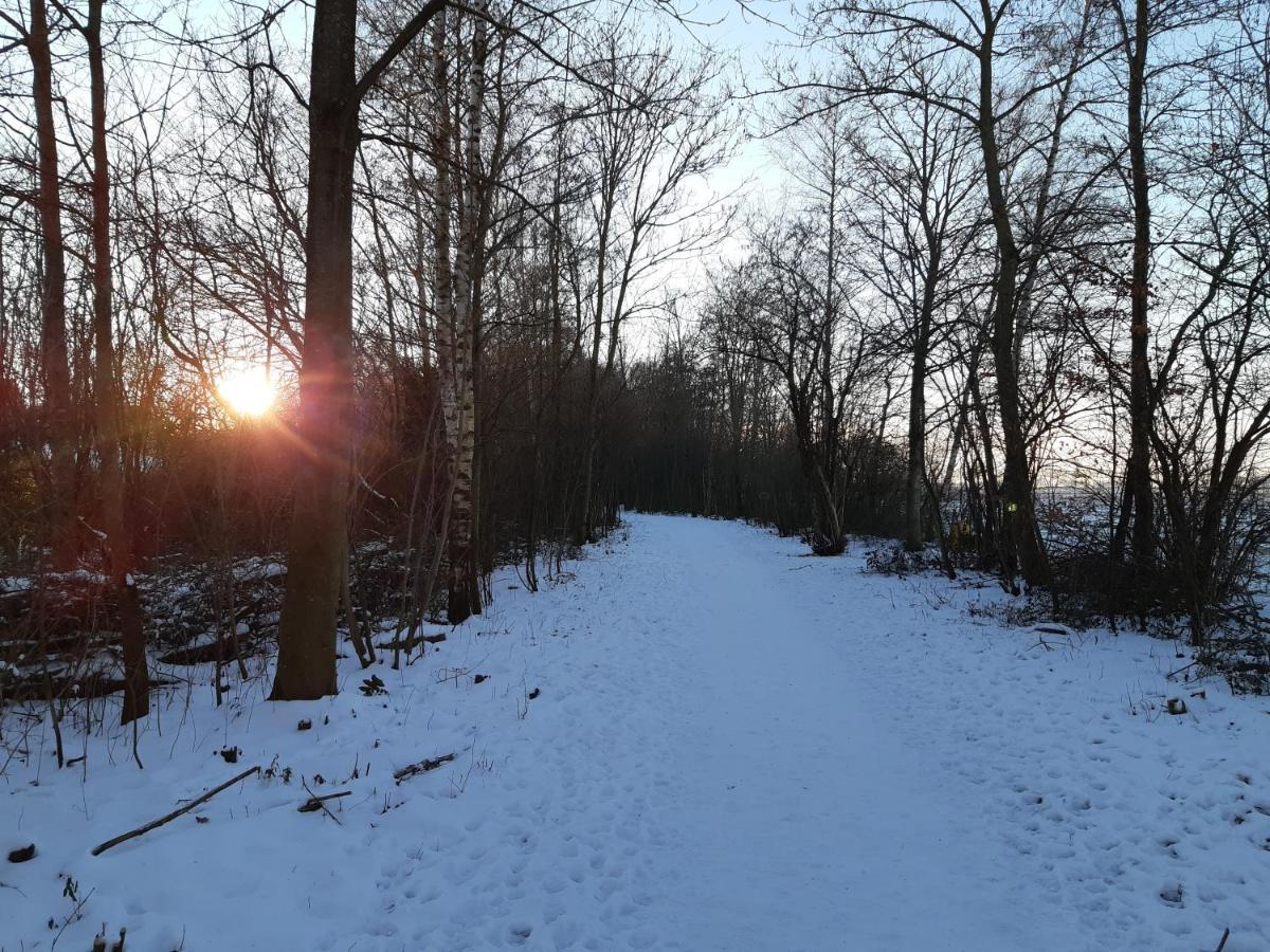 Vakantiehuis Aan Het Bos - Gelegen Aan De Tulpenroute Bant Zewnętrze zdjęcie