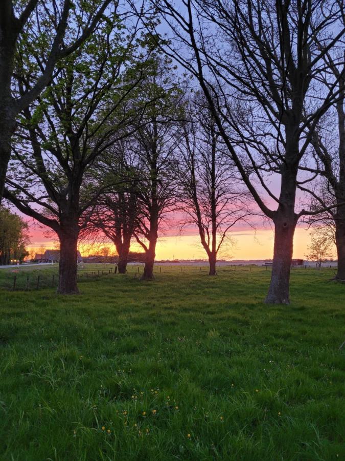 Vakantiehuis Aan Het Bos - Gelegen Aan De Tulpenroute Bant Zewnętrze zdjęcie