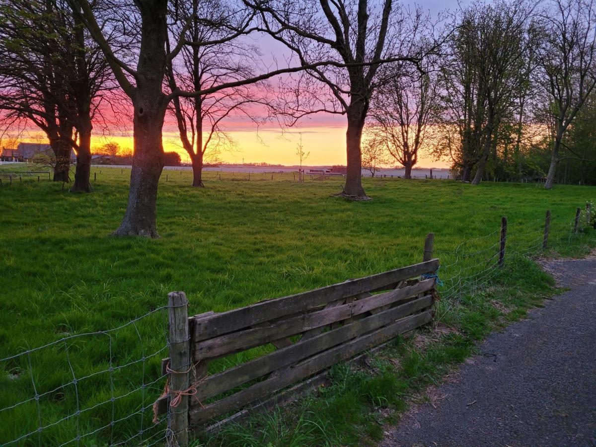 Vakantiehuis Aan Het Bos - Gelegen Aan De Tulpenroute Bant Zewnętrze zdjęcie